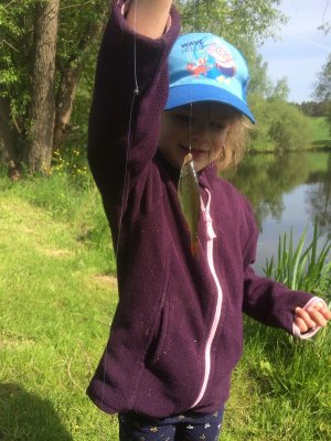 IMG_6827.JPG IMG_6827.JPG