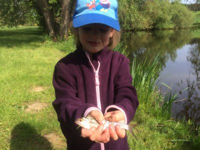 IMG_6829.JPG IMG_6829.JPG