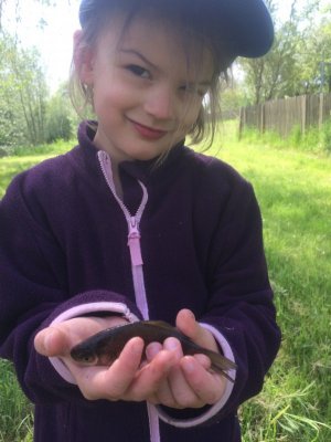 IMG_6830.JPG IMG_6830.JPG