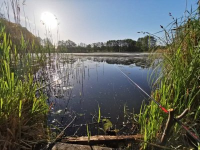 IMG-20220515-WA0000.jpg IMG-20220515-WA0000.jpg