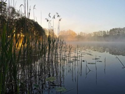 IMG-20220515-WA0001.jpg IMG-20220515-WA0001.jpg