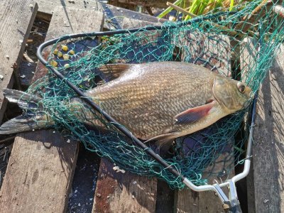 IMG-20220515-WA0003.jpg IMG-20220515-WA0003.jpg