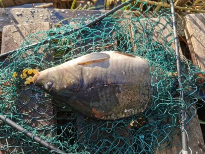 IMG-20220515-WA0002.jpg IMG-20220515-WA0002.jpg