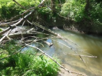 DSCN0455.JPG DSCN0455.JPG