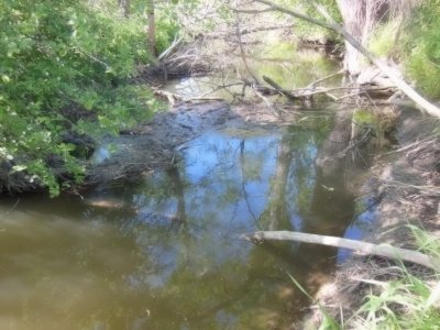 DSCN0459.JPG DSCN0459.JPG