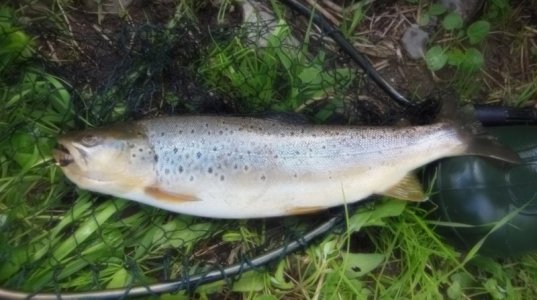 DSCN0461.JPG DSCN0461.JPG