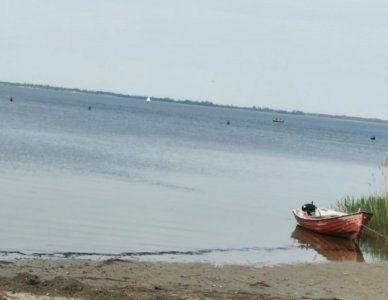 IMG-20220520-WA0000.jpg IMG-20220520-WA0000.jpg