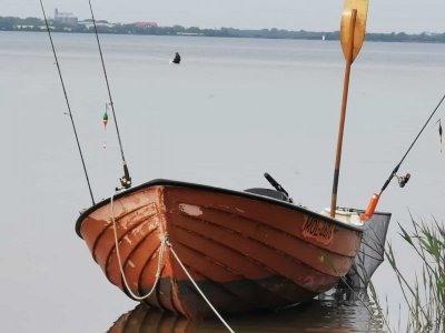 IMG-20220520-WA0001.jpg IMG-20220520-WA0001.jpg