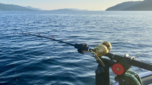 IMG_4590.jpeg IMG_4590.jpeg