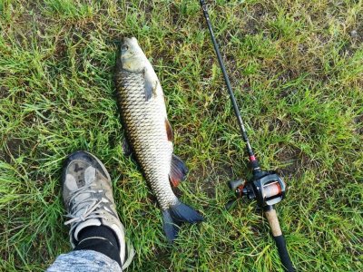 IMG-20220522-WA0005.jpg IMG-20220522-WA0005.jpg