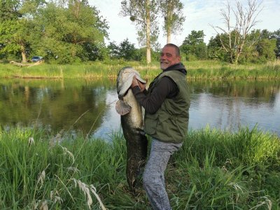 IMG-20220522-WA0003.jpg IMG-20220522-WA0003.jpg