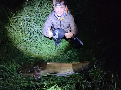 IMG_20220521_223619.jpg IMG_20220521_223619.jpg