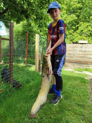 IMG_20220522_112612.jpg IMG_20220522_112612.jpg