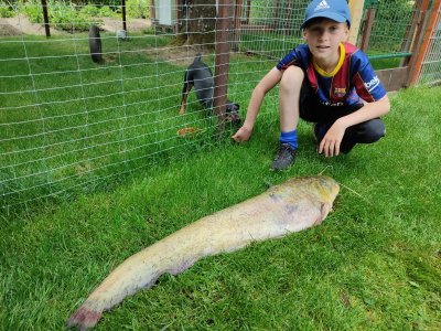 IMG_20220522_112521.jpg IMG_20220522_112521.jpg