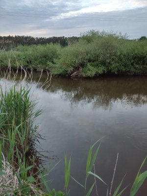 IMG_20220521_205002.jpg IMG_20220521_205002.jpg