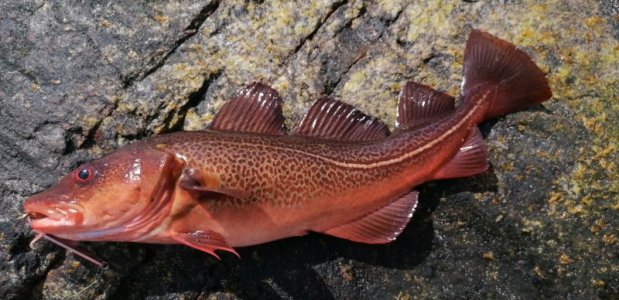 IMG_20220522_152004.jpg IMG_20220522_152004.jpg