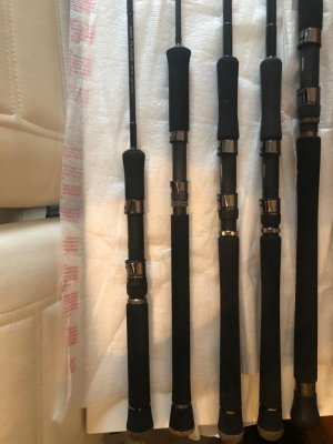 98195481-D25A-47B8-9E14-3C00A9A1BEDE.jpeg 98195481-D25A-47B8-9E14-3C00A9A1BEDE.jpeg