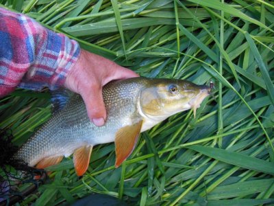 DSCN2360.JPG DSCN2360.JPG