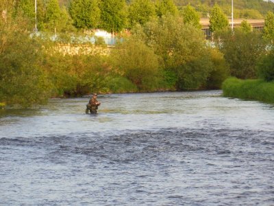 DSCN2365.JPG DSCN2365.JPG