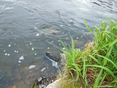 DSCN2369.JPG DSCN2369.JPG