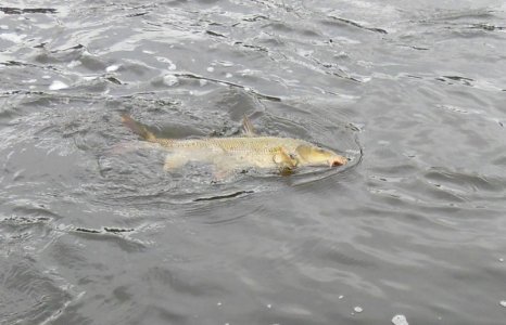 DSCN2371.JPG DSCN2371.JPG