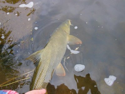 DSCN2404.JPG DSCN2404.JPG