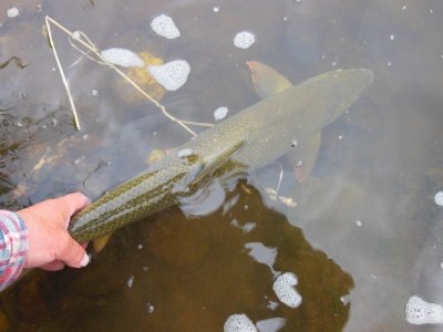 DSCN2405.JPG DSCN2405.JPG