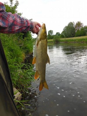 DSCN2399.JPG DSCN2399.JPG