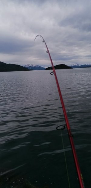 IMG_20220523_200540.jpg IMG_20220523_200540.jpg