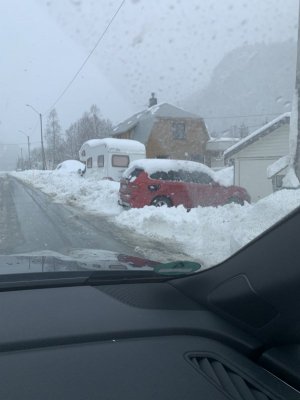 IMG_1908.JPG IMG_1908.JPG