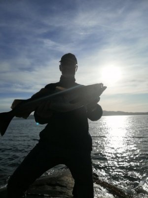 IMG_20220525_195332.jpg IMG_20220525_195332.jpg