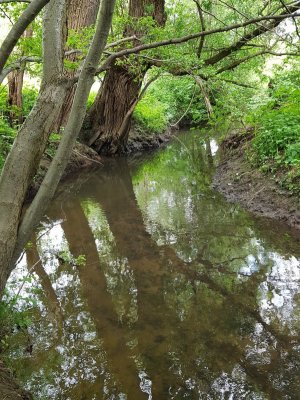 20220526_140005.jpg 20220526_140005.jpg