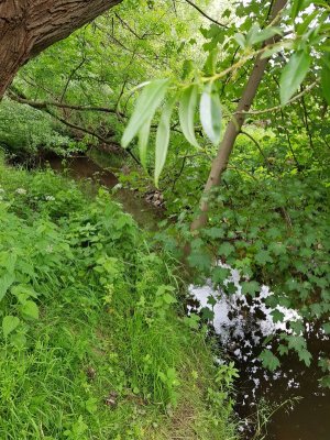 20220526_140836.jpg 20220526_140836.jpg