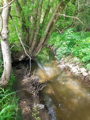 20220526_142321.jpg 20220526_142321.jpg