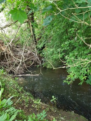 20220526_142804.jpg 20220526_142804.jpg