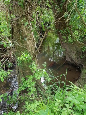 20220526_143058.jpg 20220526_143058.jpg