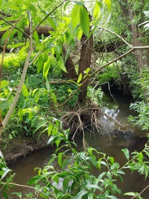 20220526_143220.jpg 20220526_143220.jpg