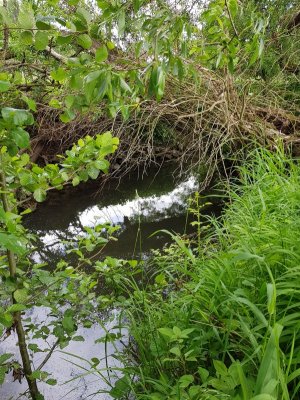 20220526_144226.jpg 20220526_144226.jpg