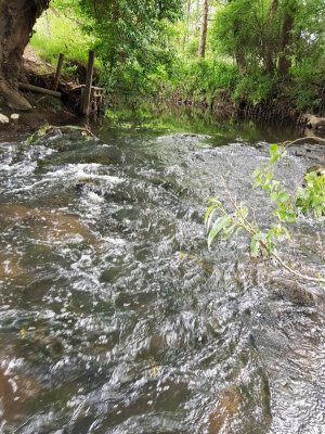 20220526_150036.jpg 20220526_150036.jpg