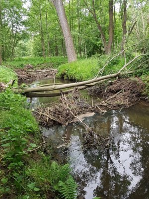 20220526_151213.jpg 20220526_151213.jpg