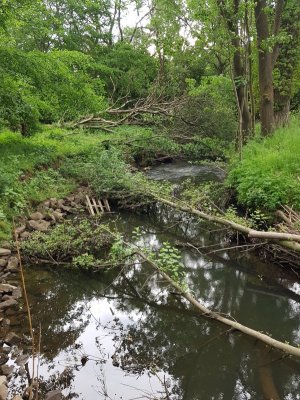 20220526_151432.jpg 20220526_151432.jpg