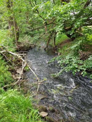 20220526_153958.jpg 20220526_153958.jpg