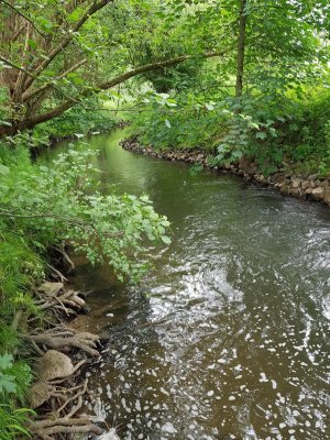 20220526_154102.jpg 20220526_154102.jpg