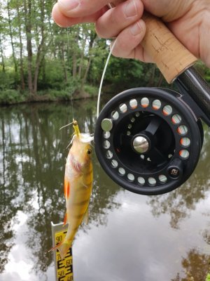 20220526_093232.jpg 20220526_093232.jpg