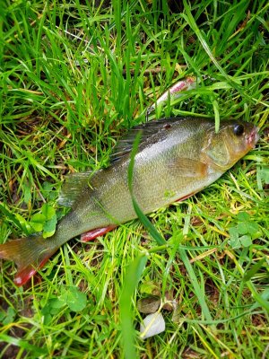 20220526_135351.jpg 20220526_135351.jpg