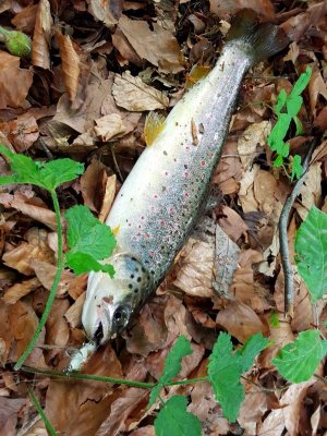 20220526_140145.jpg 20220526_140145.jpg