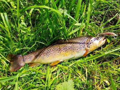 20220526_141646.jpg 20220526_141646.jpg