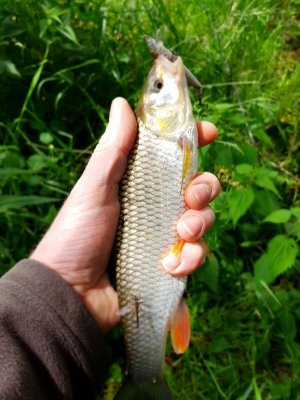 20220526_142133.jpg 20220526_142133.jpg