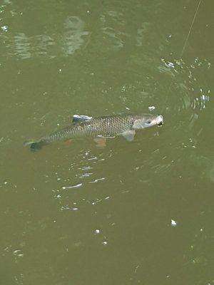 20220526_150541.jpg 20220526_150541.jpg