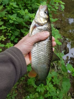 20220526_150621.jpg 20220526_150621.jpg